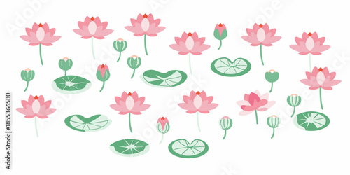 A charming arrangement of pink lotus flowers green leaves and sliced lily pads