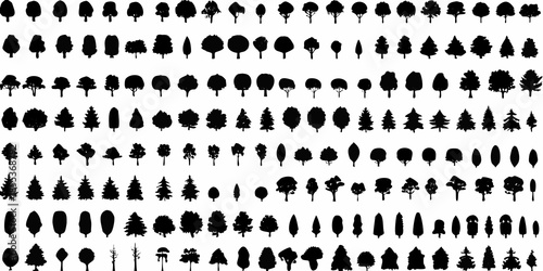 A dense collection of silhouetted trees in a repeating pattern