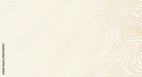 Abstract beige and gold topographic lines create a subtle wavy pattern, ideal for modern background design