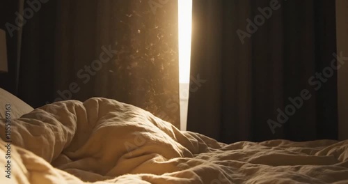 Dust Motes Dancing in Morning Sunlight Through Bedroom Curtains.