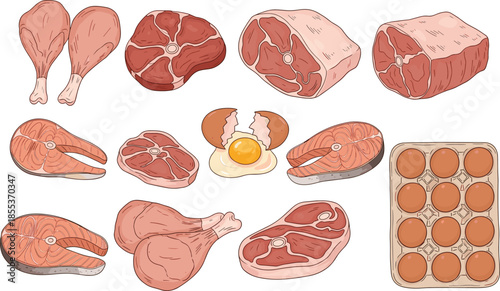 Meat food illustration set, raw beef chicken fish and eggs collection, protein ingredients butcher design