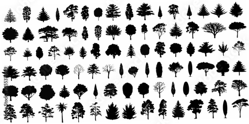 A collection of diverse tree silhouettes against a white background