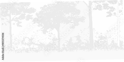 A grayscale depiction of a dense forest with tall slender trees