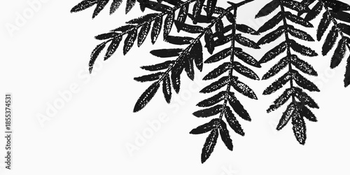 A delicate black and white illustration depicts cascading elongated leaves