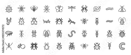 Entomology line icon set. Vector pictograms of beetle, bee, ant, butterfly, spider, snail, caterpillar, moth, scorpion, and grasshopper, thin outline illustration.