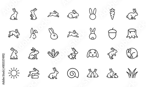 Rabbit and hare line icon set featuring vector pictograms of bunnies, carrots, acorns, tree stumps, grass, sun, and snail shells, minimal thin outline illustration.