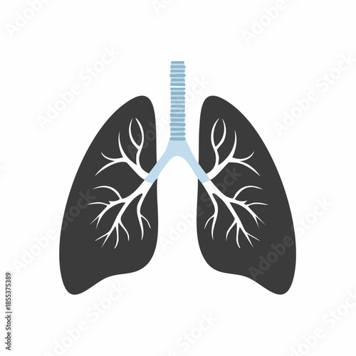 Stylized Human Lungs Illustration with Trachea and Bronchial Tree.