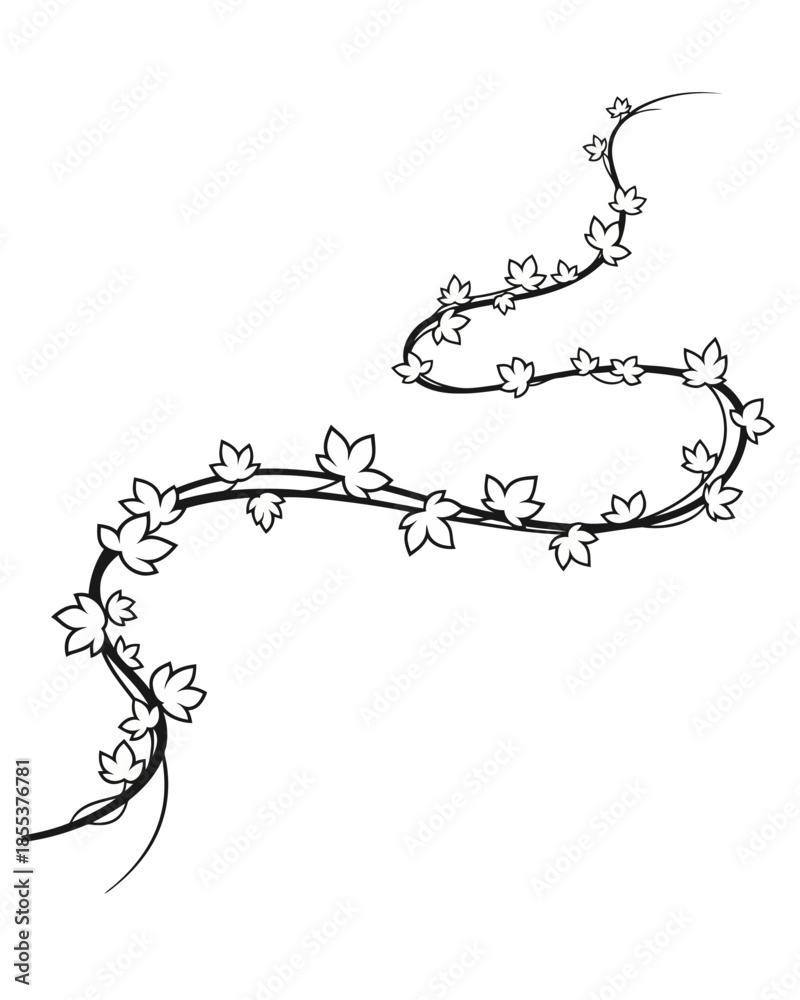 Obraz premium Elegant botanical illustration featuring a winding vine with delicate leaves, perfect as a versatile decorative element for natural-themed designs and artistic projects