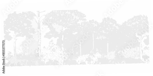 A grayscale view of dense forest trees and foliage in a natural setting