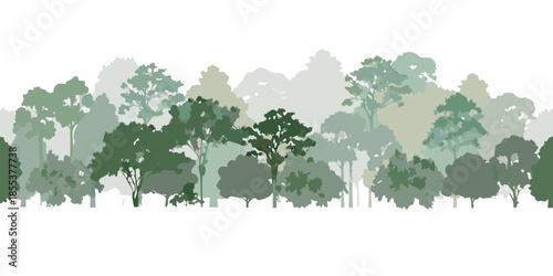 A serene forest landscape featuring various shades of green trees