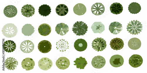 An aerial view of various trees depicted as circular green canopies