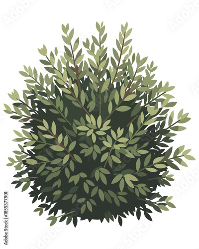 Vibrant green bush illustration featuring lush, dense foliage and healthy leaves, ideal for natural garden designs, botanical themes, and outdoor landscape projects, isolated on white