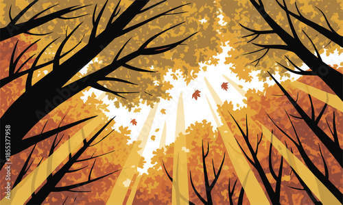 Bottom view of autumn forest canopy with sunbeams shining through colorful orange leaves