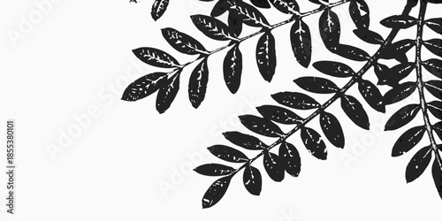 Delicate branches with elongated leaves create a minimalist botanical illustration