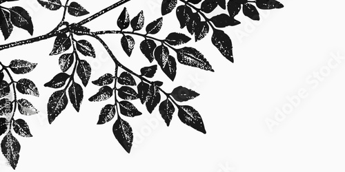 A delicate branch with lush dark green leaves against a white background
