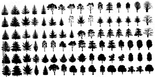 A collection of various black silhouette trees and shrubs on a white background
