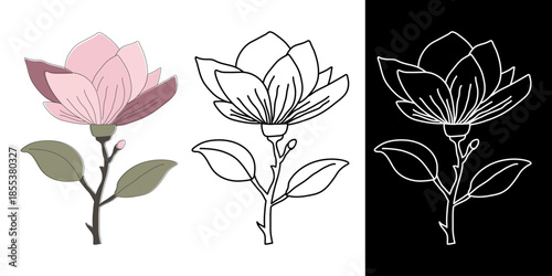 Set of magnolia icons in color, outline black white styles. Clean botanical shapes for branding, packaging, pattern, floral design project. Vector illustration