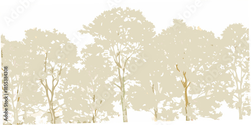 Silhouetted trees against a bright hazy sky create a minimalist landscape