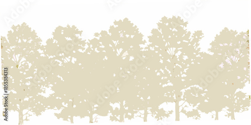 Silhouette of a dense forest with tall evergreen trees against a light backdrop