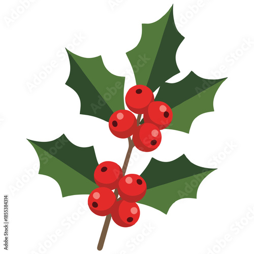 Festive Winter Holly Branch with Bright Red Berries and Green Foliage