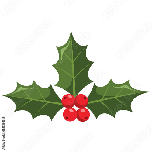 Vibrant green holly leaves with bright red berries a festive winter emblem