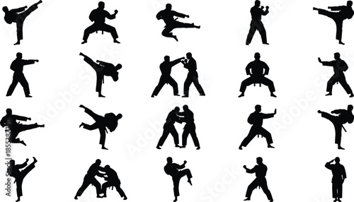 Martial arts fighting silhouette icons set, karate, taekwondo, self defense techniques, combat poses, training movements, action sport symbols