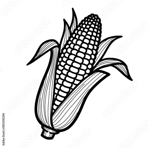 Black and White Illustration of Corn.