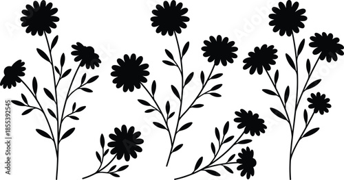 Floral silhouettes collection with blooming wildflowers, decorative botanical plants, nature inspired design elements, black vector illustration isolated