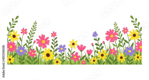 colorful spring flowers