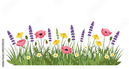 flowers and grass
