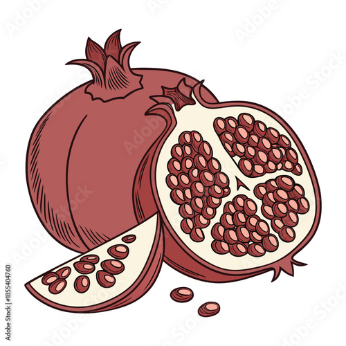 Hand-Drawn Vector Illustration of Fresh Red Pomegranate with Half Slice and Seeds