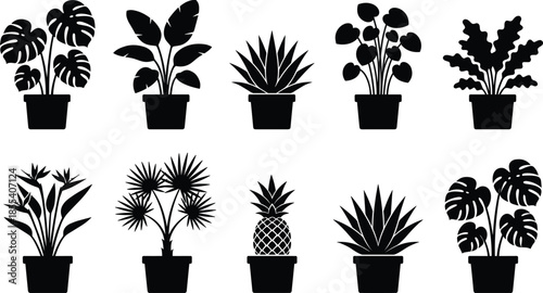 Potted indoor houseplants silhouette set vector illustration, modern botanical collection with tropical foliage and decorative plants, isolated black icons