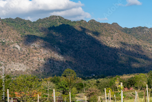 Rural Thailand Farmland Mixed Images 