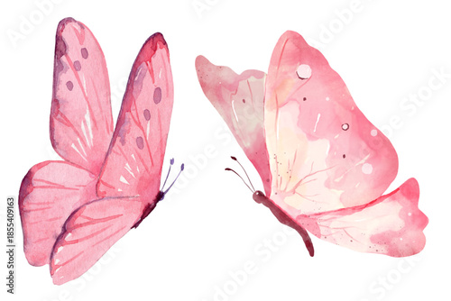 Pair Soft Pink Watercolor Butterflies