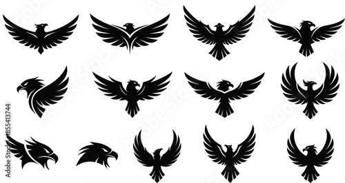 Eagle hawk silhouette icons, bird of prey vector, dynamic wing poses, emblem design set, cad drawing flat vector illustration