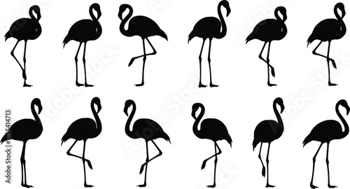 Collection of black flamingo silhouettes in various standing and wading poses for tropical nature, exotic bird, and summer wildlife designs,