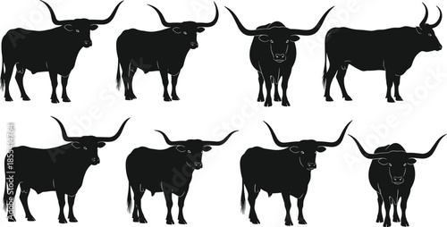 Collection of black longhorn bull silhouettes in various standing poses and perspectives for western ranch, farm, and cattle livestock designs,