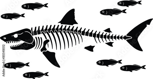 Shark skeleton silhouette illustration with fish, ocean predator anatomy concept, marine biology graphic, black and white underwater design
