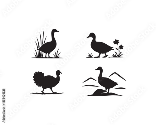 Duck, Goose, Turkey, Farm animal, farm bird vector silhouettes design illustration set collection, duck silhouette, goose silhouette, turkey silhouette, farm bird silhouette, poultry bird vector, 