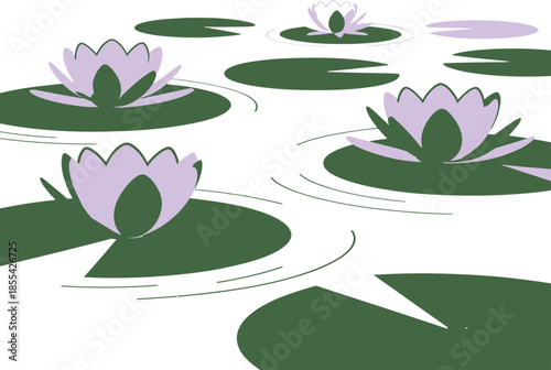 Serene Water Lilies Vector Graphic Illustration with Soft Purple Blooms on Green Pads