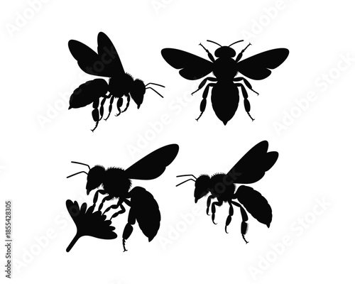 Bees black silhouettes, European honey bees, Apis mellifera, honey bee flying vector silhouette illustration design set collection, bee silhouette, honey bee silhouette, bees black silhouettes, 