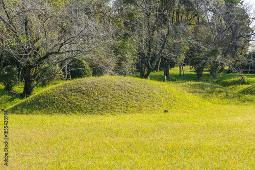 Foto 草に覆われた小さな古墳のある風景 Small ancient burial mound covered with grass