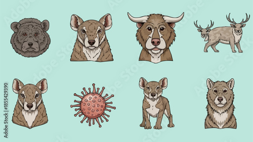 collection of animals