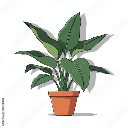 A potted green plant with long leaves, cast shadow, set against a white backdrop