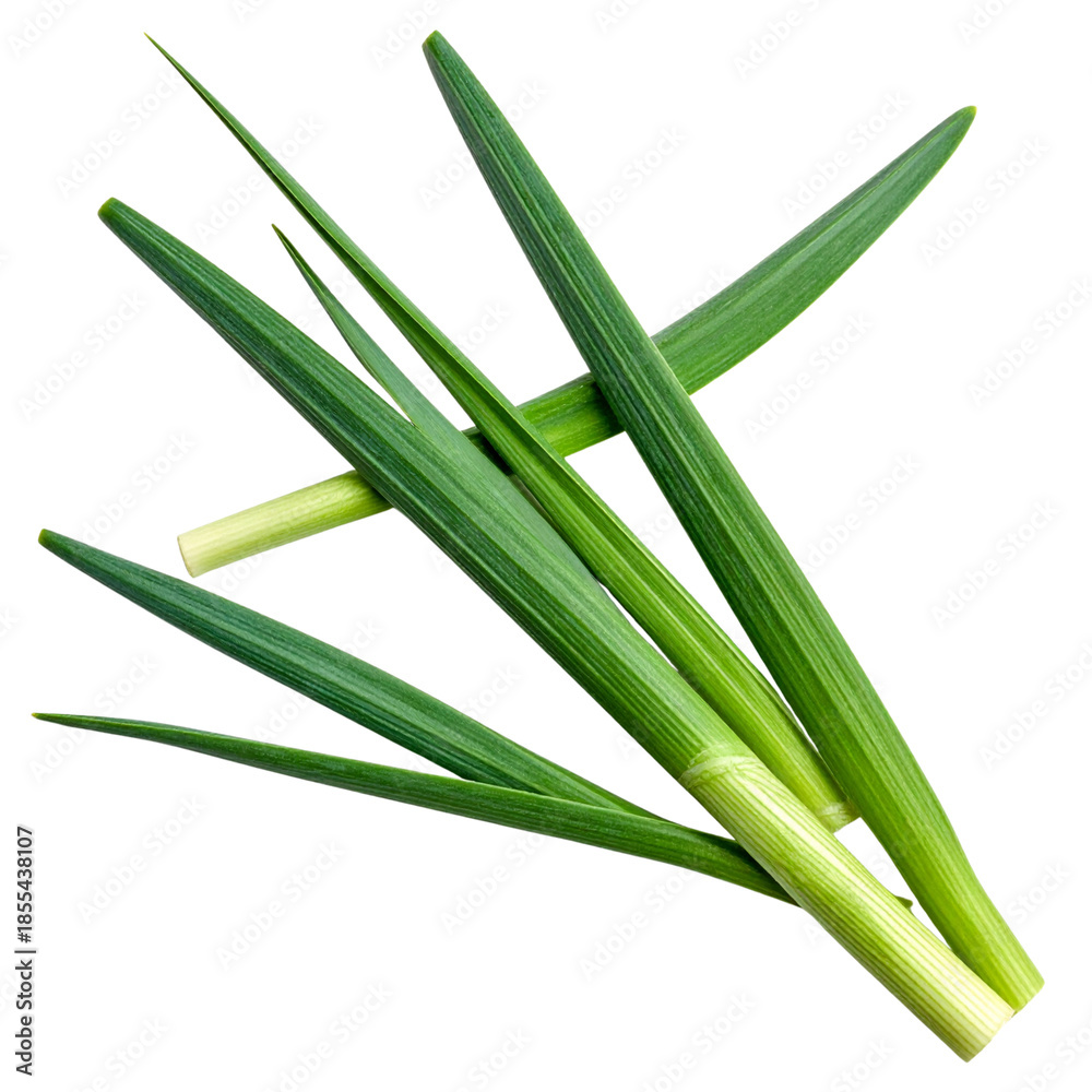 Obraz premium Fresh green onion and spring grass plant foliage with natural leaves isolated on white background, showing macro growth and garden freshness for food vegetable flora