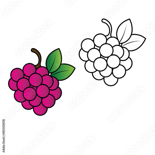 make me a wonderful design vector