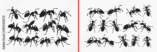 flying insect silhouettes vector, bee wasp clipart, insect wings svg, pollinator illustration, nature flying bugs, black insect shadows, wildlife insect graphics, biology vector art, small flying crea