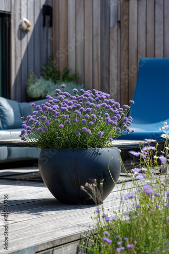 Wallpaper Mural Beautifully arranged outdoor planter with vibrant flowers and greenery Torontodigital.ca