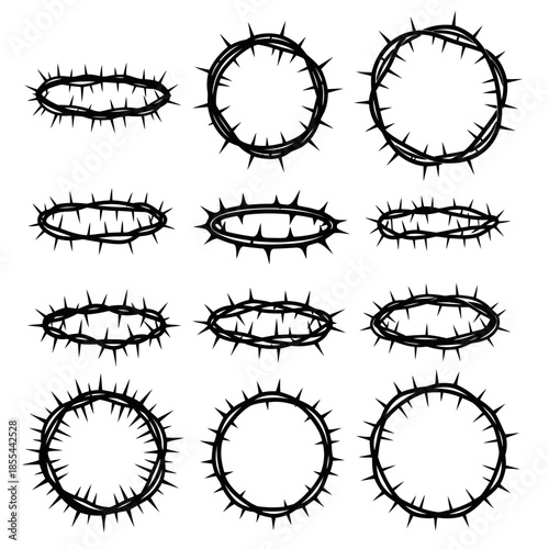 Crown of Thorns Symbolic Representation of Suffering and Sacrifice.