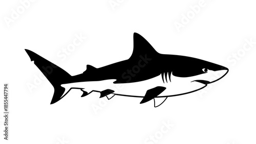 Black and White Shark Silhouette Illustration.